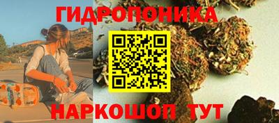 mdpv Прокопьевск