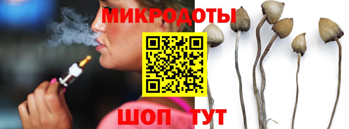 Алексин  Галлюциногенные грибы ЛСД  Вход с VPN 